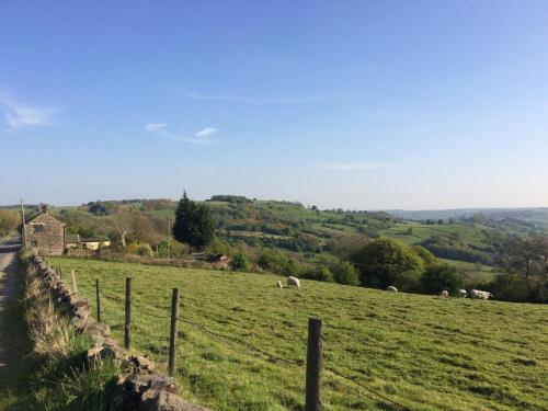 Hillside Cottage photo 3