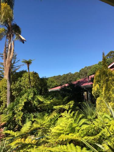 森林山林小屋度假酒店