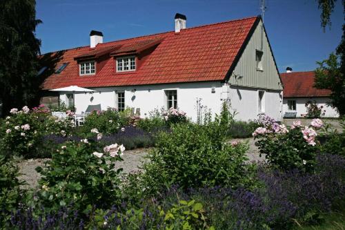 Stenrosgården - Accommodation - Kivik