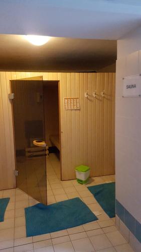Aulus-les-Bains in Aulus-les-Bains