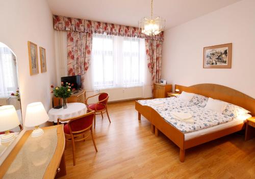 Apartman Moravska - Apartment - Karlovy Vary
