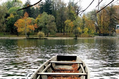Apartman River Una - image 12