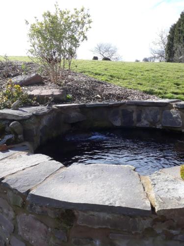 The Draen Bed and Breakfast in Брекон