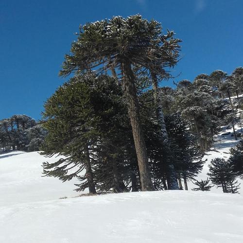 Laguna Verde Departamentos in 비야 페우에니아