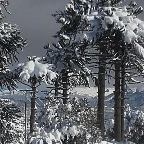 Laguna Verde Departamentos in 비야 페우에니아