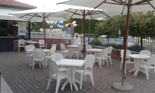 Fattoria Belvedere - image 3