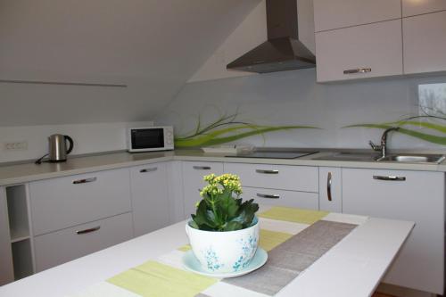 บริการและสิ่งอำนวยความสะดวก, Apartment Countryside Kolpa-Bela krajina in โดเลนจ์สเกโทพลิซ