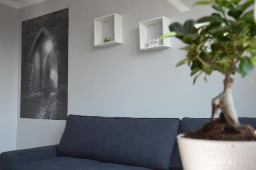 Apartamenty Słowackiego 1 & Ogrodowa 2