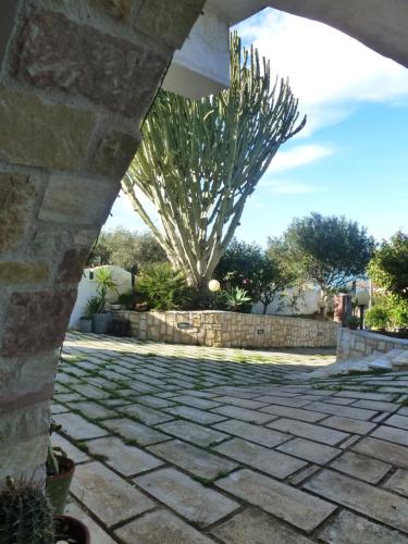Casa Calendule 5
