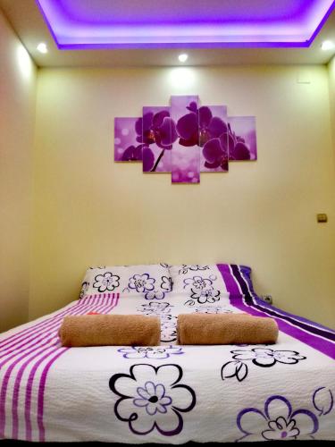 Maslina Rooms Smederevo