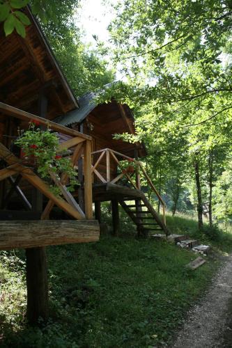 6 bunk beds