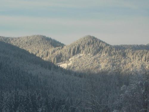 Quadruple Room with Mountain View image 8