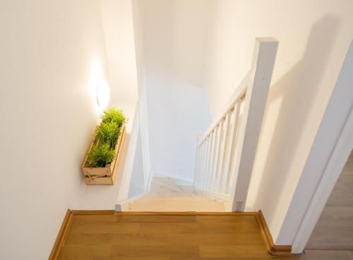 A.S. HOME Kościuszki Apartament dwupoziomowy, Breslavia (foto 7)