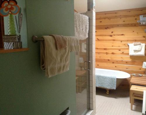 Fivespot Cabin - image 3