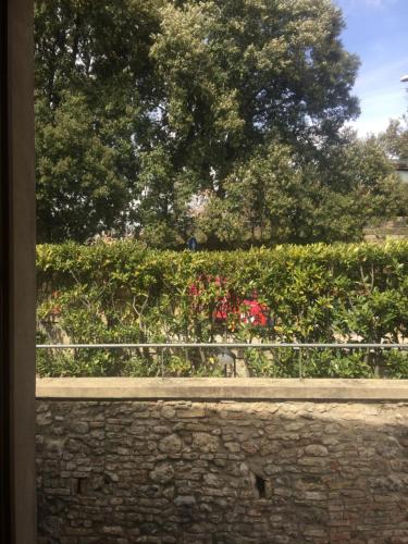  Il FEUDO in San Gimignano