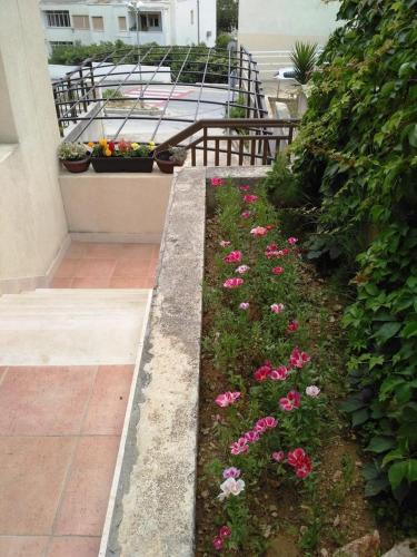 Apartments with a parking space Hvar - 15039 - image 8
