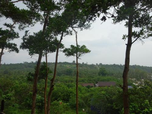 Coconutbeach Bungalows