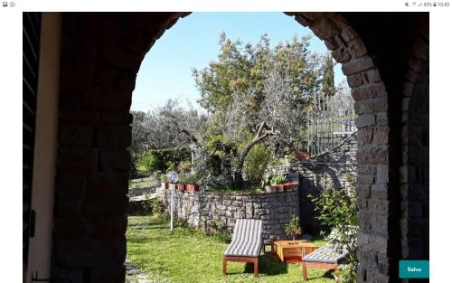 La collina degli olivi 1