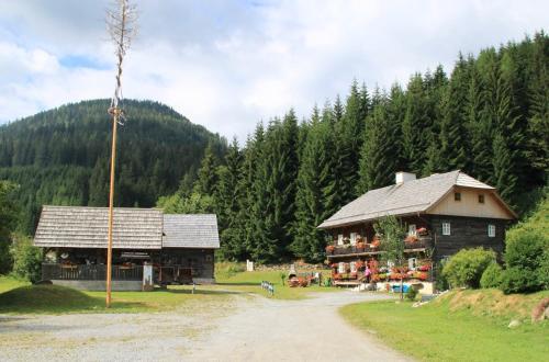 Appartement Schlosserhaus Turrach - Apartment - Turracherhöhe