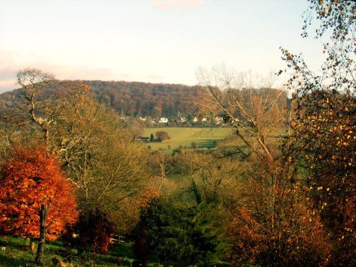 Tibbiwell Lodge