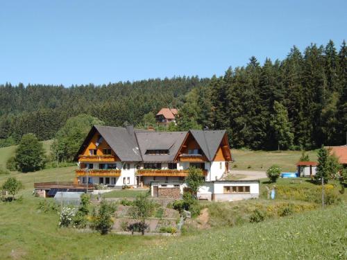 Haus Erlenmoos - Apartment - Sankt Georgen im Schwarzwald
