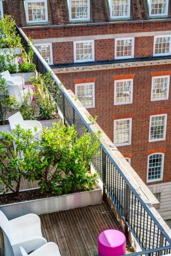 Apex Temple Court Hotel - image 10