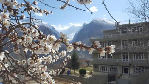 Hunza View Hotel