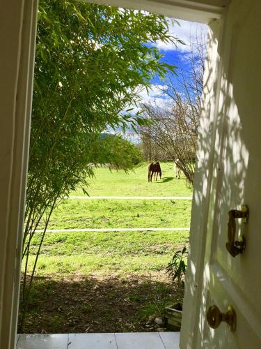 La Colline des Oliviers chambre d'hôte Aigremont