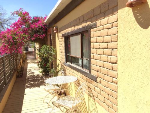 Out of the Wilderness in Sde Boker