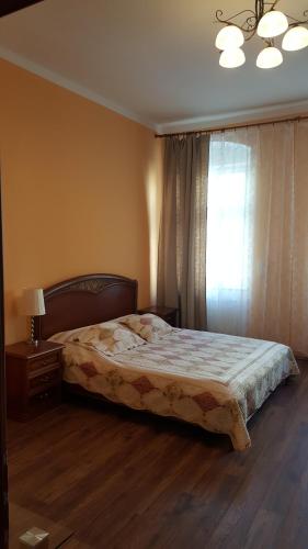 Apartman v centru Karlovych Varu - Apartment - Karlovy Vary