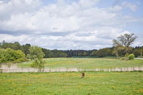 Siggesta Gård - image 2