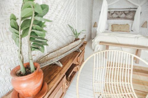 Facilities, Dreamsea Bali in Bali