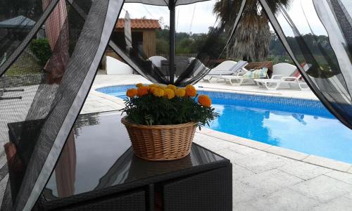  Sunny Villa in Coimbra