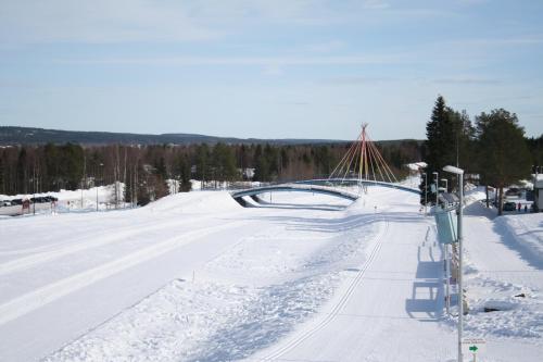 Ounasvaara Sport Cottages