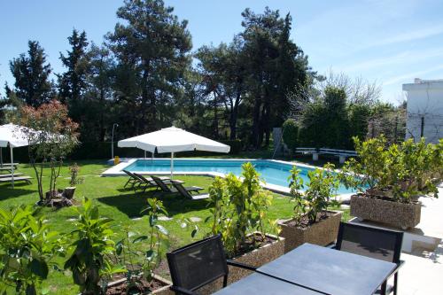 Angelbay Bungalows - image 8