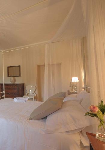 B&B Palazzo Mattei - Accommodation - Novafeltria