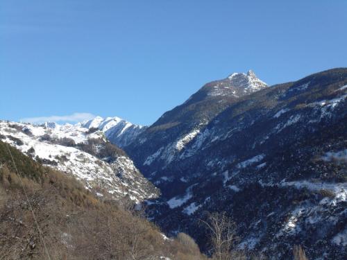 Il Piccolo Nido