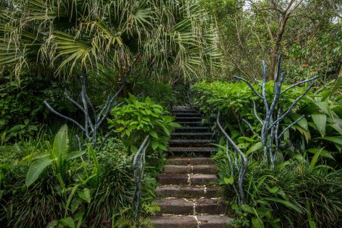 Finca Rosa Blanca Coffee Farm and Inn