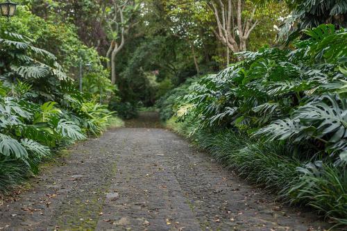 Finca Rosa Blanca Coffee Farm and Inn