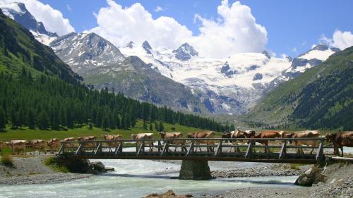 Hotel Roseg-Gletscher