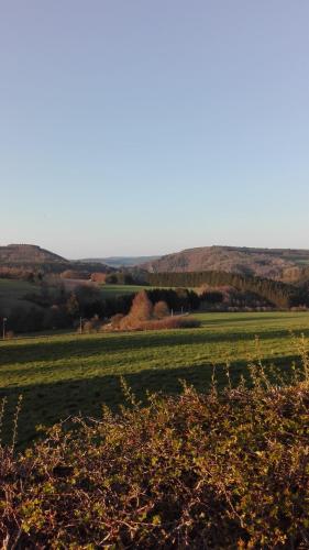 Aux doux rêves, Provèdroux
