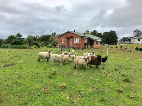 Cabaña Nueva en Ancud Chiloe