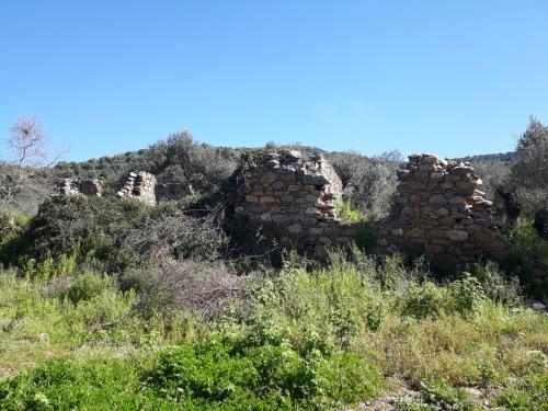 Hidden House in Nature, Zounákion (fotografie 9)