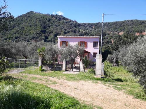 Hidden House in Nature Crete