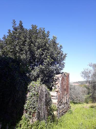 Hidden House in Nature, Zounákion (fotografie 4)