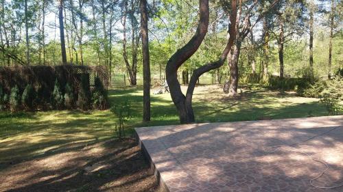 Domek nad Narwią (Domek nad Narwia) in Sobieski