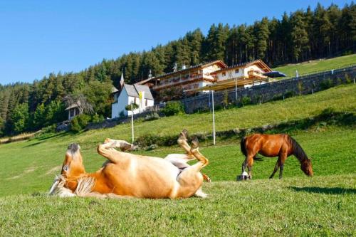 Gasthaus Bad Siess - Hotel - Longomoso