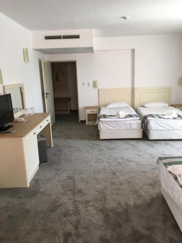 Mena Palace Hotel - All Inclusive - image 2