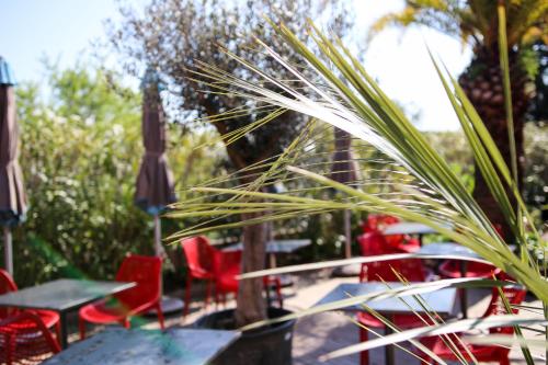 Kert, Hotel La Villa Florida in Bandol