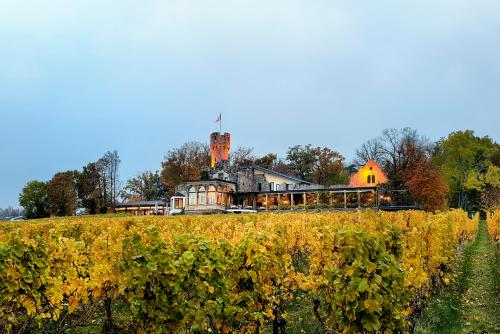 Relais & Châteaux Hotel Burg Schwarzenstein